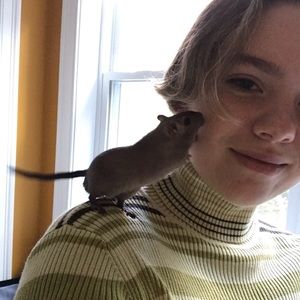 Meet your Posher, Spencer